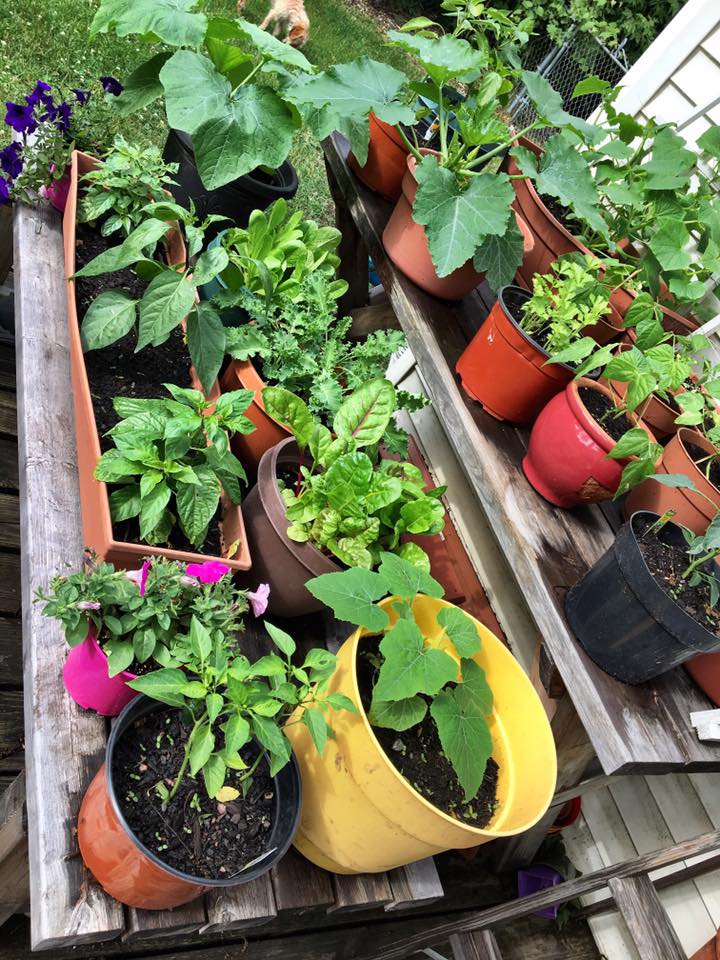 Porch Garden