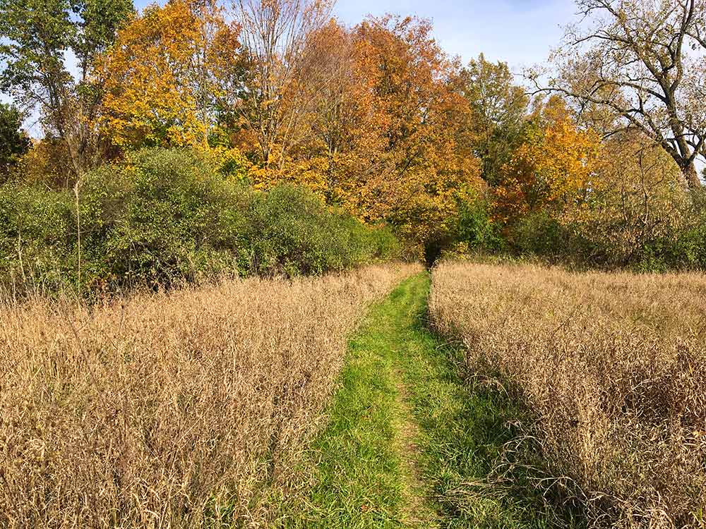 fallcolor-fields-trails