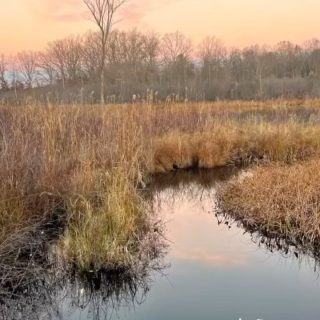 Happy first day of spring🌱🌷

I had an absolute blast on the trails these past few months. However, I am super excited to be wrapping up my 500 mile winter hiking challenge and transitioning into a new season. I don’t know about you guys but I am  definitely looking forward to warmer weather, greener trails, and reintroducing some of my favorite activities like biking and paddling. 

#winterhikingchallenge #getoutside #funisthebest #activeliving #getoutstayout #findmeoutside #500miles #hiking #trails #michiganhikingtrails #outsider