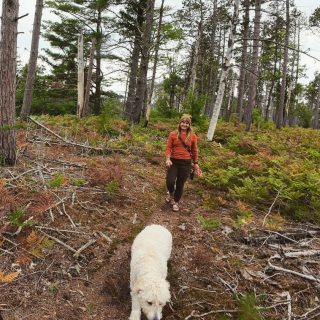 Life is what you make it. So why not make it full of hiking and dogs🧡🤎

#hiking #september #fallvibes #trails #dogswhohike #woods #onthetrail #nct #northcountrytrail #optoutside #hike #funisthebest #happyplace #keepitwild #outsideisthebestside #wandering