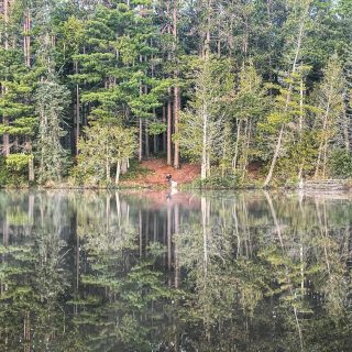 Branching out 🌳

#reflection #reflections #onthewater #paddling #nature #photography  #landscape  #naturephotography  #reflectionphotography #lake #travel #beautiful #mirror #perfection #woods #findmeoutside #keepitwild