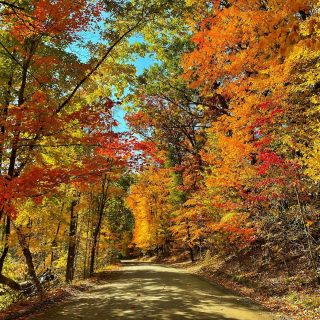 Welcome back to the most beautiful and colorful time of year🧡🍂 Fall is always such a perfect reminder from Mother Nature how lovely it can be to let things go. 

#fall #firstdayoffall #fallequinox #seasonchange #autumn #spookyseason #letitgo #thebestseason #fallinmichigan #colorful #vibrant #optoutside #outsideisthebestside #puremichigan #backroads #fallisintheair
