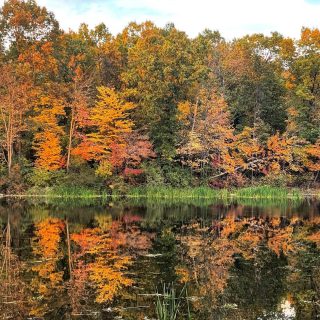 October’s finest🍁

#hiking #fallcolors #trails #hikingtrails #fallinmichigan #puremichigan #nature #optoutside #fall #autumn #findyourhappy #outsider #keepitwild
