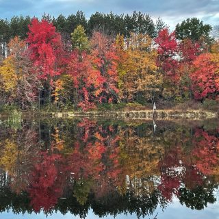 Take it all in, it won’t be long now… 

#winteriscoming #fallinmichigan #october #optoutside #autumn #inthecolors #puremichigan #trails #fallcolors #leafpeeping #reflections #findmeoutside #outsider
