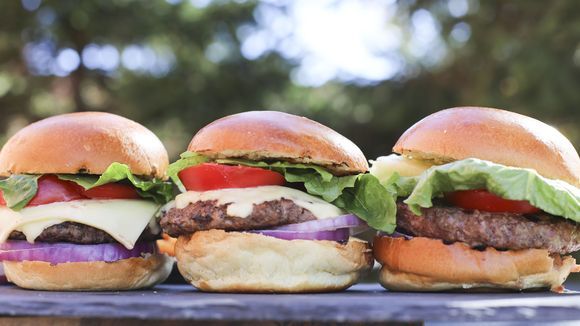 Body By (22 of Michigan’s Best) Burgers